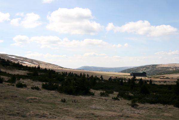 Krkonoše, Studniční hora, 21.5.2014
Pohled ze severního svahu na Luční boudu. V pozadí Kotel.
Mots-clés: Krkonoše Studniční hora Luční bouda