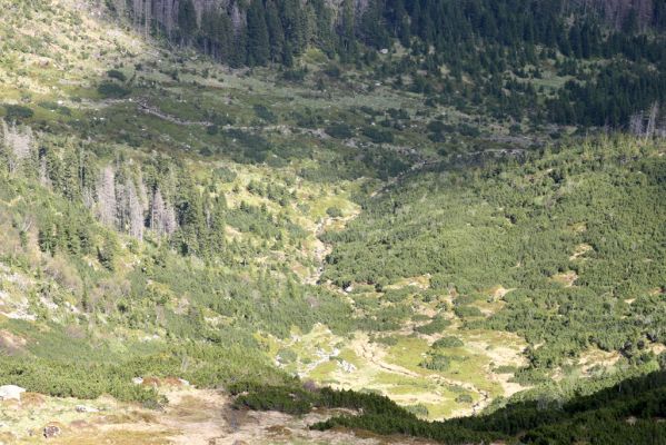 Krkonoše, Obří důl, 21.5.2014
Sněžná strouha. Pohled od Krakonošovy zahrádky do Úpské jámy.
Keywords: Krkonoše Obří důl Krakonošova zahrádka Úpská jáma