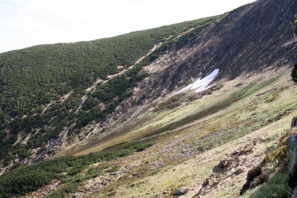 Krkonoše, Obří důl, 21.5.2014
Pohled od Krakonošovy zahrádky na Čertův ručej.



Klíčová slova: Krkonoše Obří důl Krakonošova zahrádka Čertův ručej