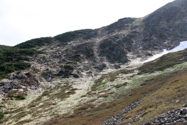 Krkonoše, Obří důl, 21.5.2014
Pohled od Krakonošovy zahrádky na Čertův ručej.



Klíčová slova: Krkonoše Obří důl Krakonošova zahrádka Čertův ručej Ctenicera cuprea