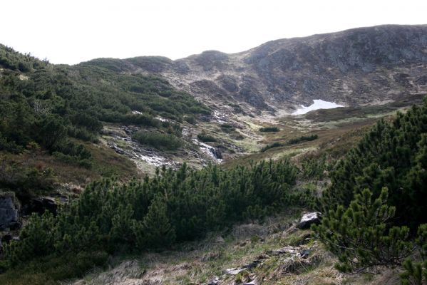 Krkonoše, Obří důl, 21.5.2014
Čertův ručej a Studniční hora.
Klíčová slova: Krkonoše Obří důl Čertův ručej Studniční hora