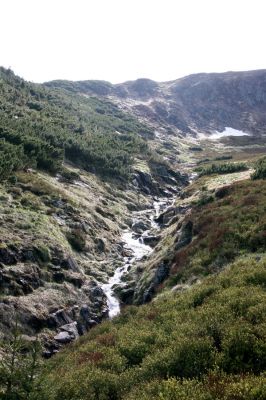 Krkonoše, Obří důl, 21.5.2014
Čertův ručej a Studniční hora.
Klíčová slova: Krkonoše Obří důl Čertův ručej Studniční hora