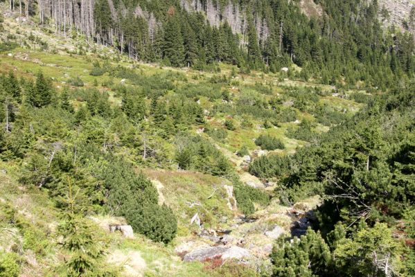 Krkonoše, Obří důl, 21.5.2014
Pohled od Čertova ručeje do Úpské jámy.


Mots-clés: Krkonoše Obří důl Čertův ručej Úpská jáma