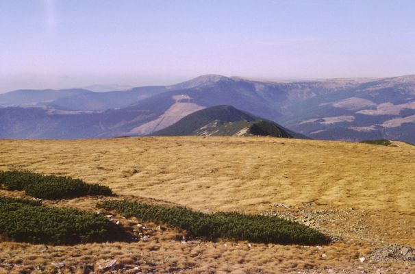 Krkonoše, Luční hora, 23.10.1989
Pohled na západ přes Kozí hřbet na Medvědín.
Klíčová slova: Krkonoše Luční hora Kozí hřbet Medvědín Hypnoidus consobrinus Sericus subaeneus Pheletes aeneoniger Cteniceta cuprea