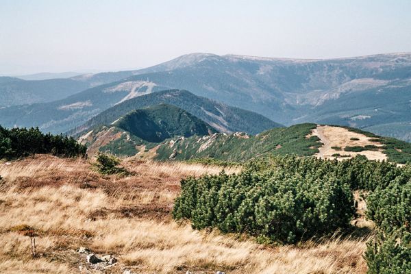 Krkonoše, Luční hora, 24.9.2006
Pohled z Luční hory přes Kozí hřbety na Medvědín a Kotel.
Klíčová slova: Krkonoše Luční hora Kozí hřbety Kotel Ctenicera cuprea