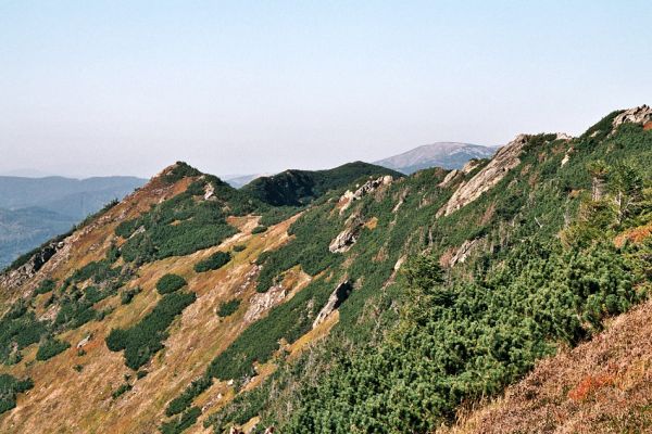 Krkonoše, Sedmidolí, 24.9.2006
Kozí hřbety ze staré Bucharovy cesty.
Mots-clés: Krkonoše Kozí hřbety