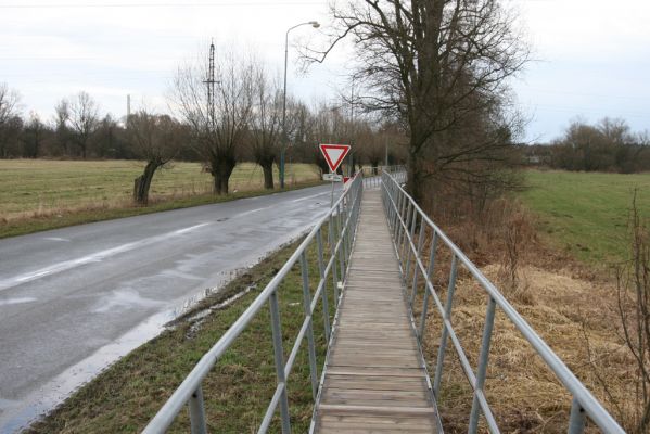 Třebechovice pod Orebem, 13.4.2013
Cesta do Krňovic přes záplavové louky Orlice.
Třebechovice pod Orebem Krňovice Orlice záplavové louky


Keywords: Třebechovice pod Orebem Krňovice Orlice záplavové louky