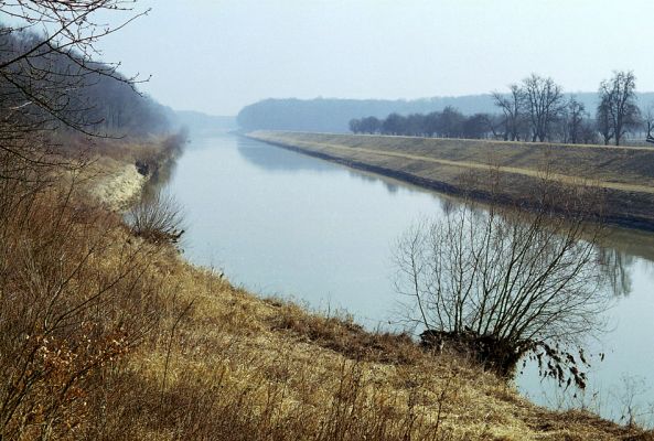 Kroměříž, řeka Morava, 5.3.2003
Regulovaná řeka u lužních lesů Zámečku. Za uplynulých 200 let jsme zkrátili toky našich řek regulací o 4700 km, což je o 37% (DEMEK J. A KOL. 1975) a v některých případech (zejména u řek v plochých, nížinných nivách) až o dvě třetiny jejich délky (MŽP 2004).
Keywords: Kroměříž Morava Zámeček