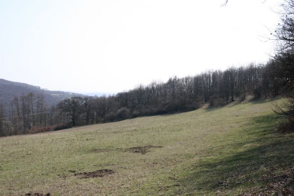 Krupina, 10.4.2015
Zarůstající pastevní les.



Klíčová slova: Štiavnické vrchy Krupina Hanišberg – Nová Hora
