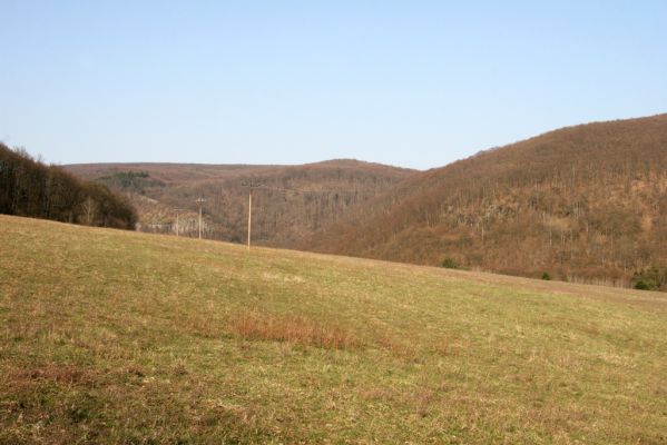 Krupina, 10.4.2015
Mäsiarsky bok - Kňazova hora od jihozápadu.


Klíčová slova: Štiavnické vrchy Krupina Mäsiarsky bok Kňazova hora