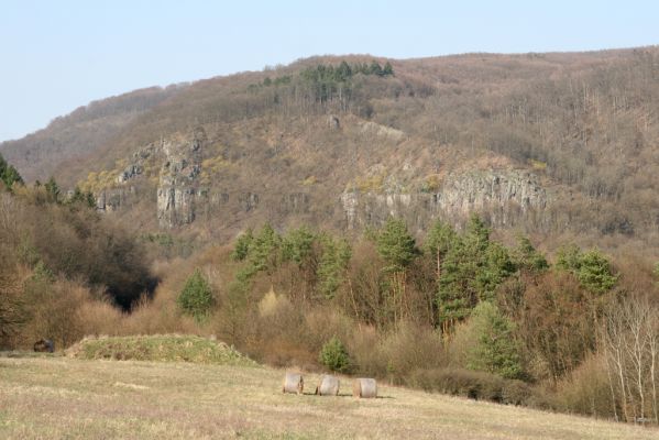 Krupina, 10.4.2015
Mäsiarsky bok z jihozápadu.



Schlüsselwörter: Štiavnické vrchy Krupina Mäsiarsky bok Limoniscus violaceus Ischnodes sanguinicollis