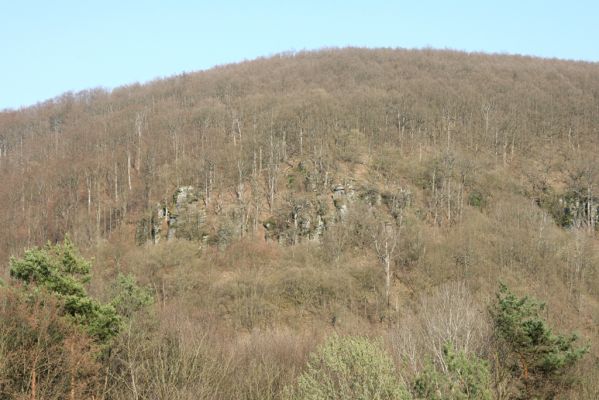 Krupina, 10.4.2015
Mäsiarsky bok Hanišbergu.



Schlüsselwörter: Štiavnické vrchy Krupina Mäsiarsky bok Limoniscus violaceus Ischnodes sanguinicollis