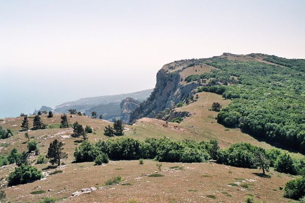 Ai-Petrinskaia yayla, 8.6.2007
Jihozápadní okraj planiny. Staré odumírající borovice jsou domovem Kovaříka Ampedus apicalis a dřevomila Xylophilus leseigneuri.
Mots-clés: Ukrajina Krym Ai Petri