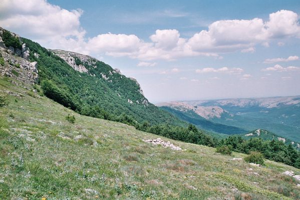 Chatir-Dag, 11.6.2007
Východní svahy Chatir-Dagu. Pohled na planinu Dolgorukovskaia yayla.
Mots-clés: Ukrajina Krym Chatir-Dag Selatosomus jajlensis