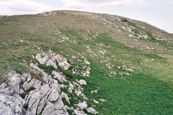 Chatir-Dag, 11.6.2007
Horské stepi Chatir-Dagu. Biotop kovaříka Selatosomus jajlensis.
Klíčová slova: Ukrajina Krym Chatir-Dag Selatosomus jajlensis