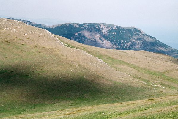 Chatir-Dag, 11.6.2007
Horská step - biotop kovaříka Selatosomus jajlensis. V pozadí Demerdzhi yayla.
Klíčová slova: Ukrajina Krym Chatir-Dag Demerdzhi yayla