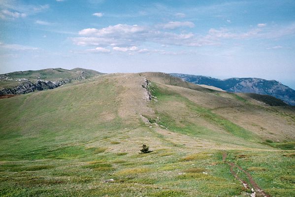 Chatir-Dag, 11.6.2007
Horská step - biotop kovaříka Selatosomus jajlensis
Klíčová slova: Ukrajina Krym Chatir-Dag Selatosomus jajlensis