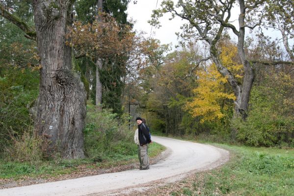 Zlatníky, 24.10.2010
Kulháň.
Klíčová slova: Zlatníky Kulháň Dušánek Samek