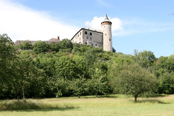 Kunětická Hora, 7.6.2009
Třešňovka na jižním svahu Kunětické Hory. 
Schlüsselwörter: Pardubice Kunětická Hora Anthaxia candens