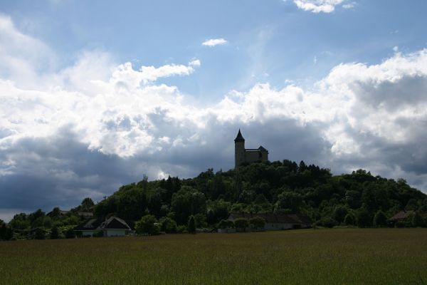 Kunětická Hora, 7.6.2009
Pohled na Kunětickou Horu z východu. 
Klíčová slova: Pardubice Kunětická Hora Anthaxia candens