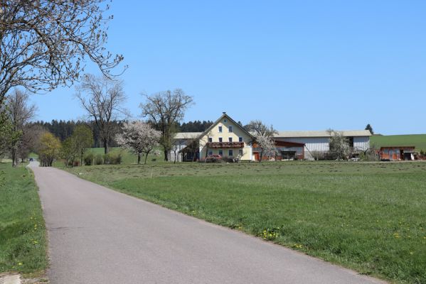 Kunvald, 25.4.2019
Končiny - pastvina.
Schlüsselwörter: Kunvald Končiny pastvina