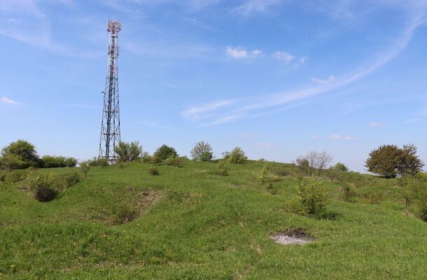 Kurdějov, 5.5.2023
Holý vrch.
Schlüsselwörter: Kurdějov Holý vrch