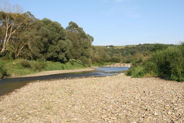 Kurima, 17.9.2014
Meandry Topľy.


Mots-clés: Kurima řeka Topľa