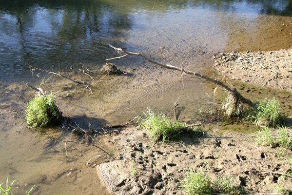 Kurima, 17.9.2014
Meandry Topľy.


Klíčová slova: Kurima řeka Topľa