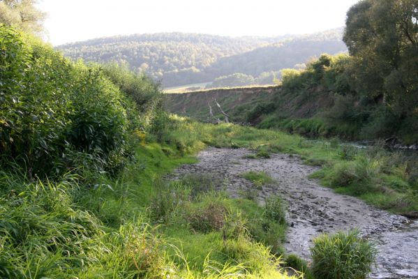 Kurima, 17.9.2014
Meandry Topľy.


Mots-clés: Kurima řeka Topľa