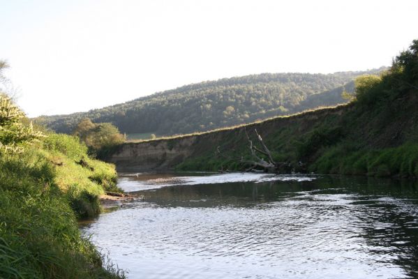 Kurima, 17.9.2014
Meandry Topľy.


Klíčová slova: Kurima řeka Topľa