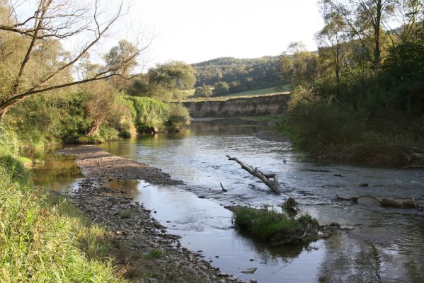 Kurima, 17.9.2014
Meandry Topľy.



Klíčová slova: Kurima řeka Topľa