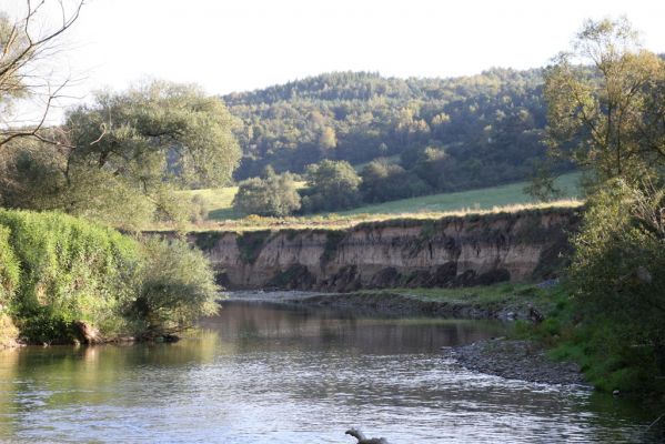 Kurima, 17.9.2014
Meandry Topľy.



Schlüsselwörter: Kurima řeka Topľa