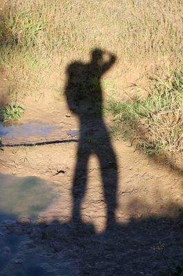 Kurima, 17.9.2014
Meandry Topľy - stará štěrkovna. 


Schlüsselwörter: Kurima řeka Topľa