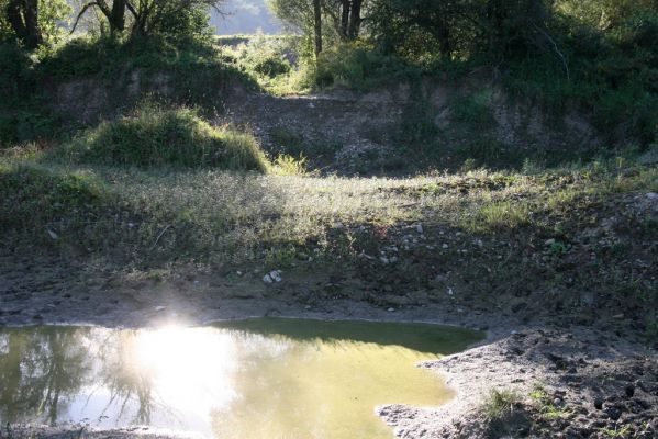 Kurima, 17.9.2014
Meandry Topľy stará štěrkovna.



Mots-clés: Kurima řeka Topľa