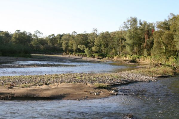 Kurima, 17.9.2014
Meandry Topľy.



Schlüsselwörter: Kurima řeka Topľa