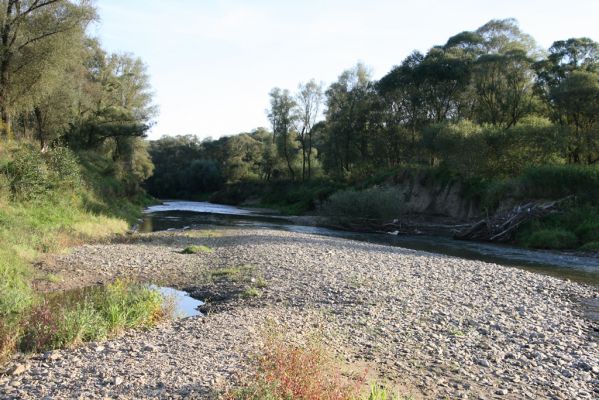 Kurima, 17.9.2014
Meandry Topľy.



Klíčová slova: Kurima řeka Topľa