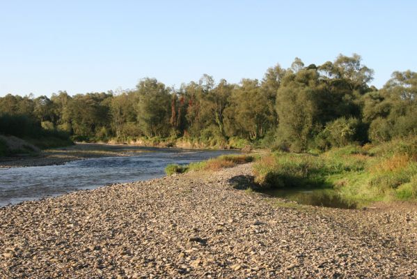 Kurima, 17.9.2014
Meandry Topľy.


Klíčová slova: Kurima řeka Topľa