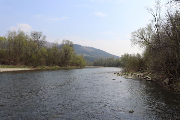 Kysucký Lieskovec, 13.4.2019
Štěrkové náplavy Kysuce.
Klíčová slova: Kysucký Lieskovec Kysuca