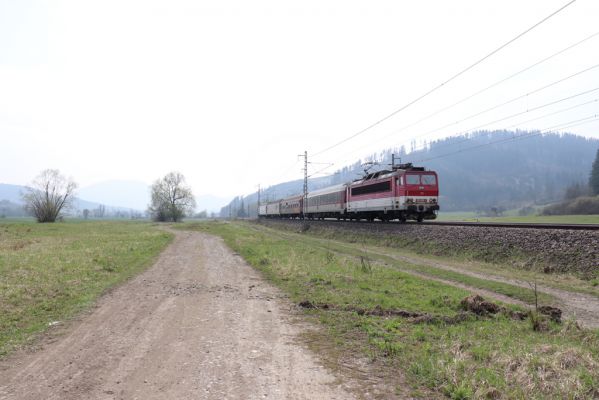 Kysucké Nové Mesto, 13.4.2019
Cesta u Kysuce u Podhájskeho potoka.
Klíčová slova: Kysucké Nové Mesto pastvina Podhájsky potok