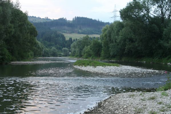 Kysucký Lieskovec, 10.7.2018
Meandry Kysuce - štěrkový náplav.
Klíčová slova: Kysucký Lieskovec řeka Kysuca meandry