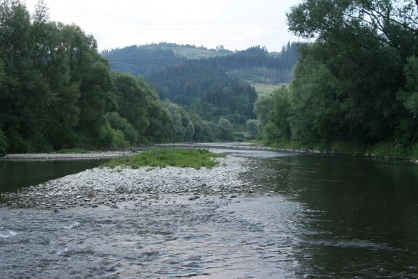 Kysucký Lieskovec, 10.7.2018
Meandry Kysuce - štěrkový náplav.
Mots-clés: Kysucký Lieskovec řeka Kysuca meandry