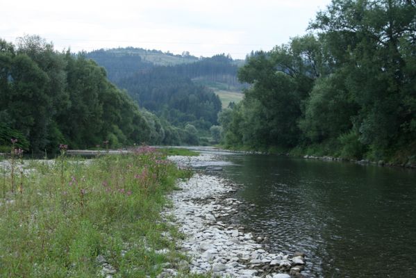 Kysucký Lieskovec, 10.7.2018
Meandry Kysuce - štěrkový náplav.
Keywords: Kysucký Lieskovec řeka Kysuca meandry