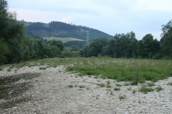 Kysucký Lieskovec, 10.7.2018
Meandry Kysuce - štěrkový náplav.
Klíčová slova: Kysucký Lieskovec řeka Kysuca meandry