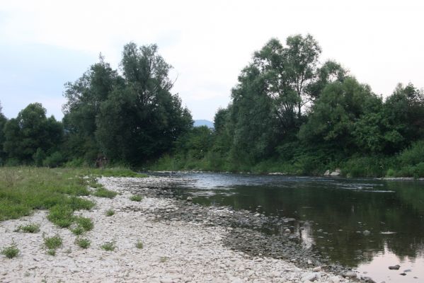 Kysucký Lieskovec, 10.7.2018
Meandry Kysuce - štěrkový náplav.
Schlüsselwörter: Kysucký Lieskovec řeka Kysuca meandry