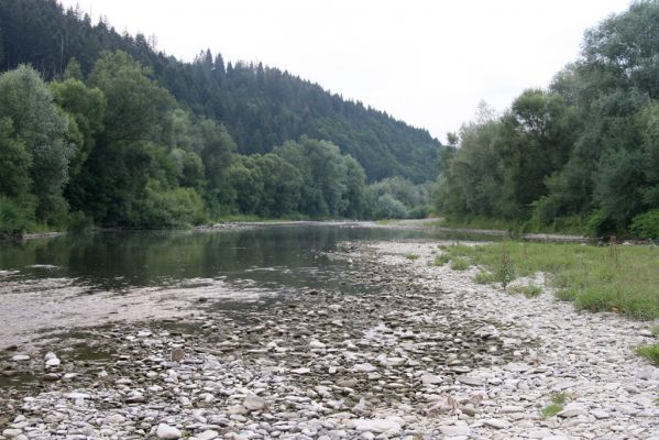 Kysucký Lieskovec, 10.7.2018
Meandry Kysuce - štěrkový náplav.
Schlüsselwörter: Kysucký Lieskovec řeka Kysuca meandry