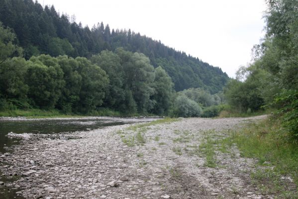 Kysucký Lieskovec, 10.7.2018
Meandry Kysuce - štěrkový náplav.
Klíčová slova: Kysucký Lieskovec řeka Kysuca meandry