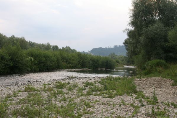 Kysucký Lieskovec, 10.7.2018
Meandry Kysuce - štěrkový náplav.
Mots-clés: Kysucký Lieskovec řeka Kysuca meandry