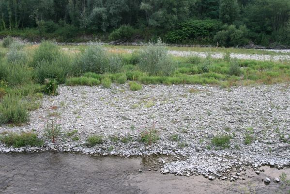 Kysucký Lieskovec, 10.7.2018
Meandry Kysuce - štěrkový náplav.
Schlüsselwörter: Kysucký Lieskovec řeka Kysuca meandry