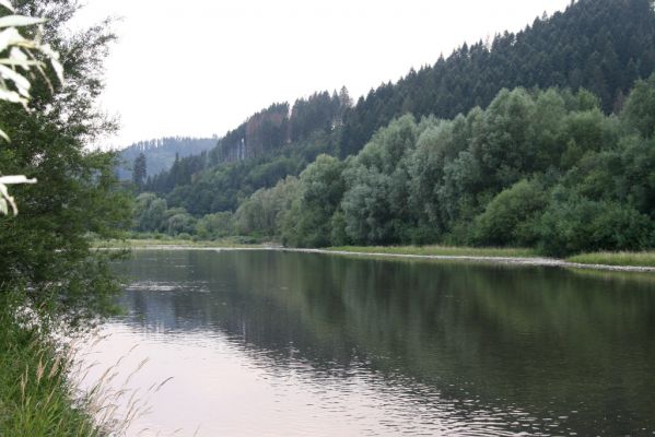 Kysucký Lieskovec, 10.7.2018
Meandry Kysuce.
Schlüsselwörter: Kysucký Lieskovec řeka Kysuca meandry