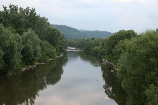 Kysucký Lieskovec, 10.7.2018
Zregulovaný tok Kysuce - pohled z mostu u Ochodnice.
Schlüsselwörter: Kysucký Lieskovec řeka Kysuca